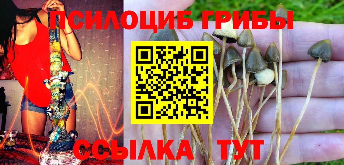 Галлюциногенные грибы MAGIC MUSHROOMS Котлас